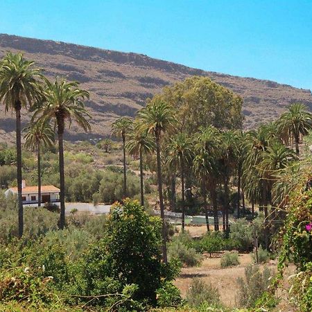 Casa Rural El Olivar La Molienda Santa Lucia Екстериор снимка
