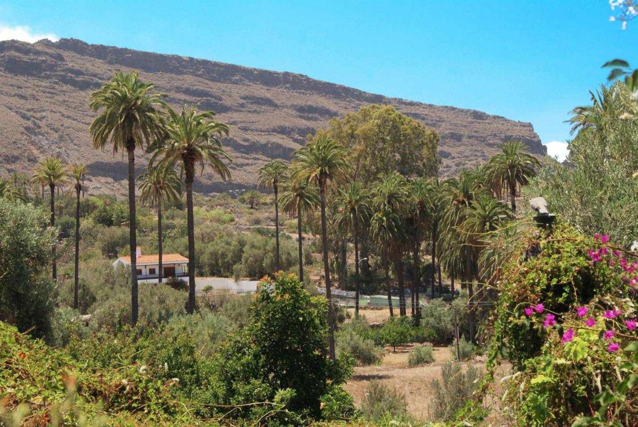 Casa Rural El Olivar La Molienda Santa Lucia Екстериор снимка