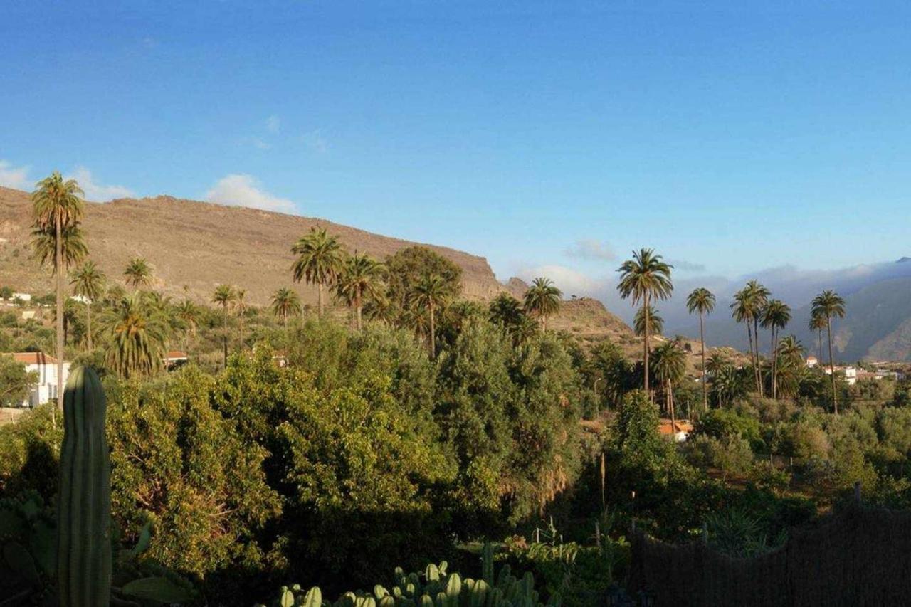Casa Rural El Olivar La Molienda Santa Lucia Екстериор снимка